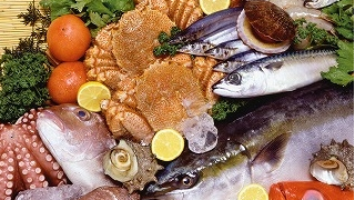 コムアミジマ　魚